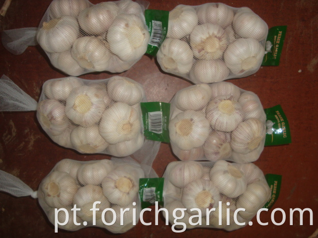 Normal White Garlic